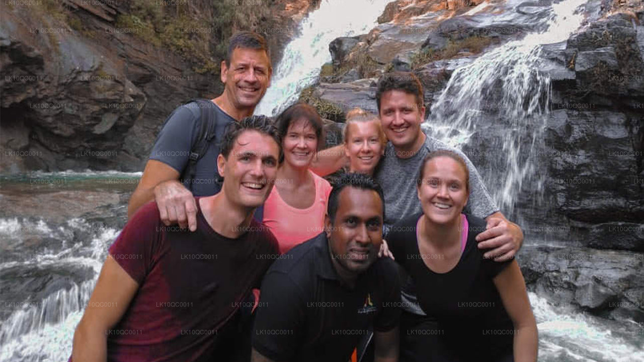 Ceylon älskling (26 Dagar)