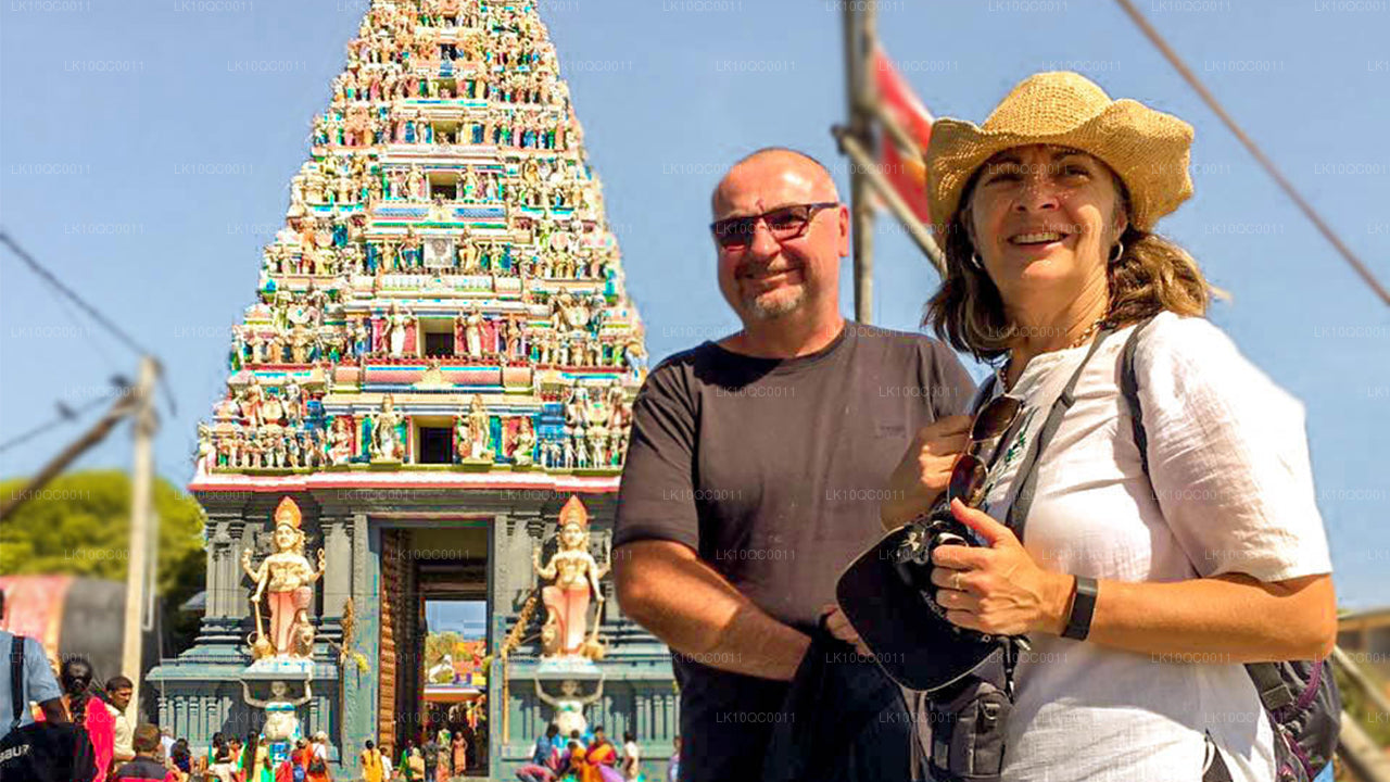 Ceylon älskling (26 Dagar)