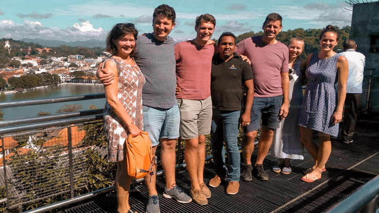 Ceylon älskling (26 Dagar)