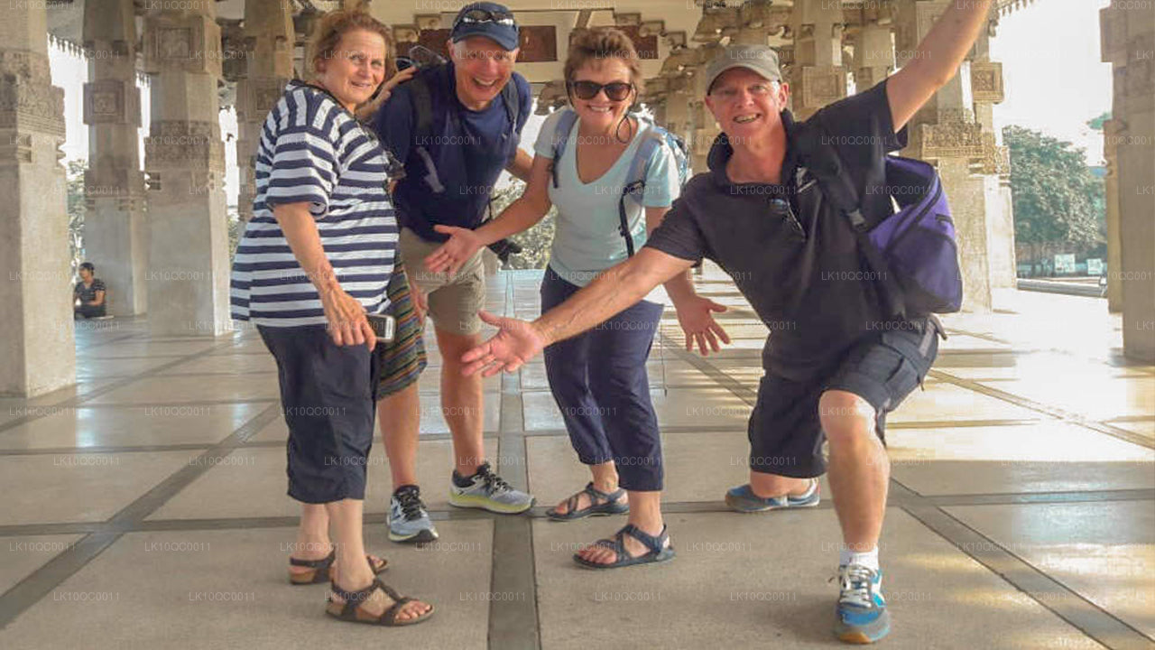 Ceylon älskling (26 Dagar)