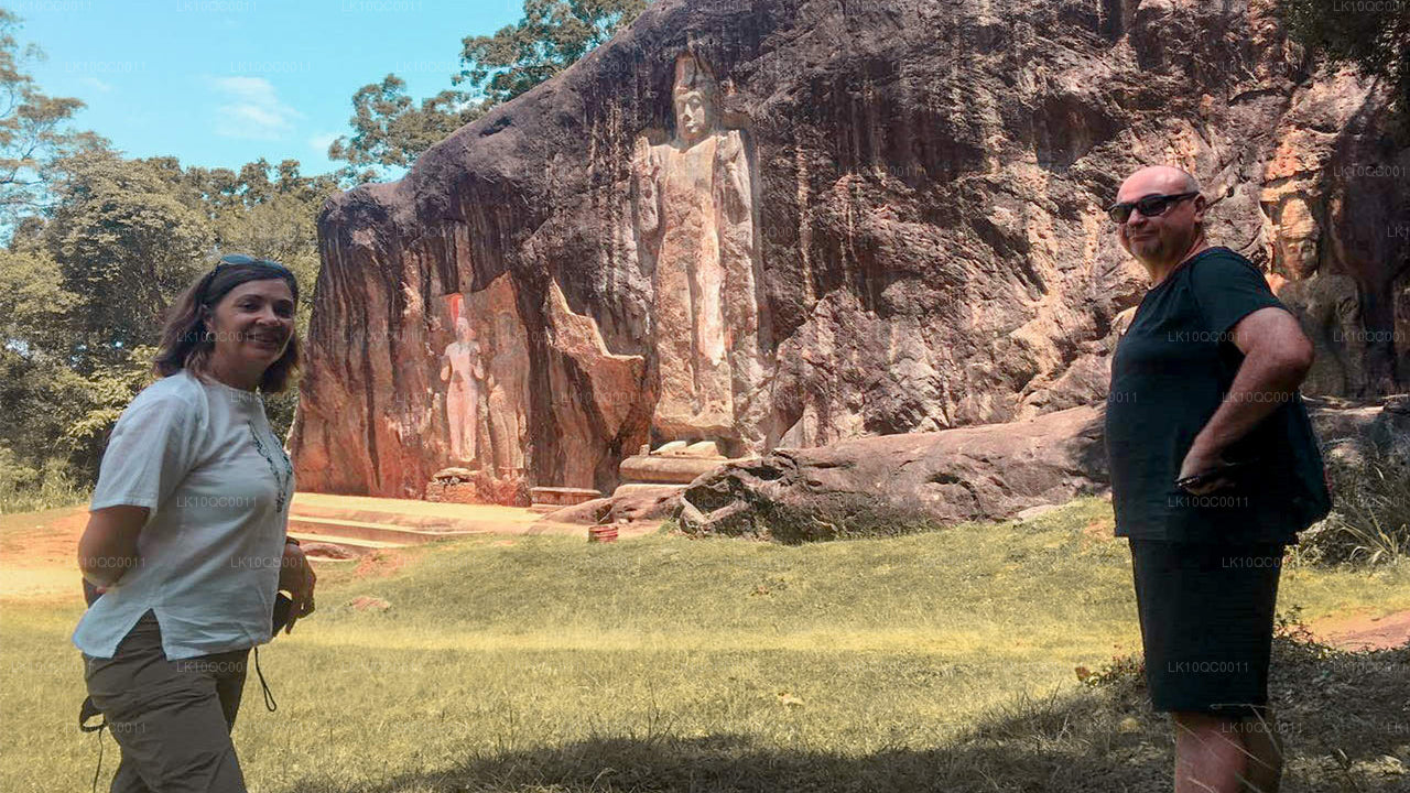 Ceylon älskling (26 Dagar)