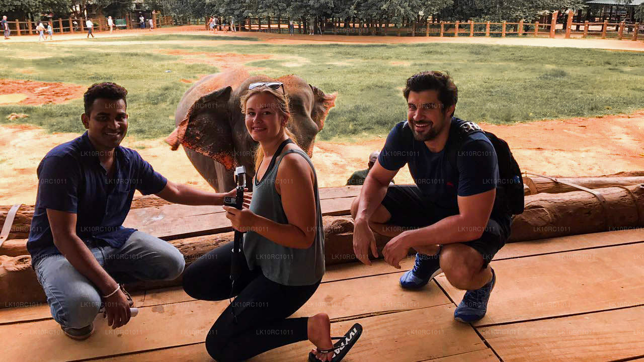 Ceylon Endearment (27 Dagar)