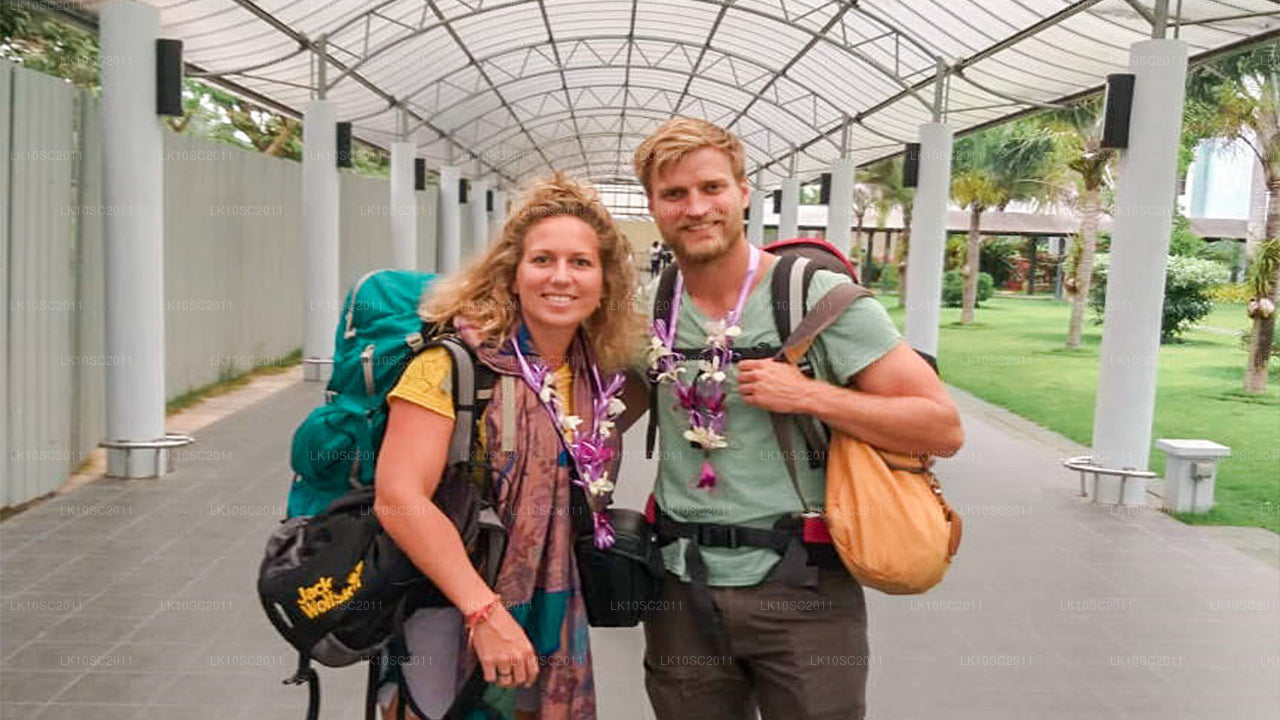 Ceylon Endearment (28 Dagar)