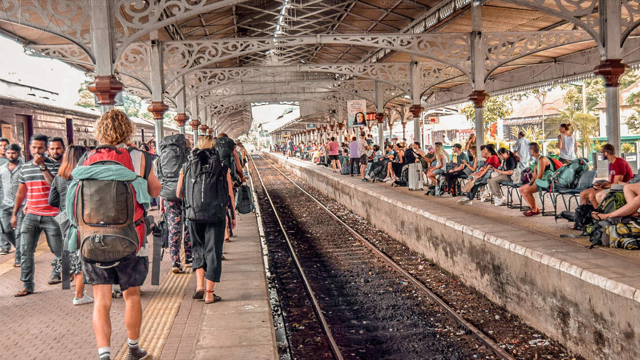 Ceylon Endearment (28 Dagar)