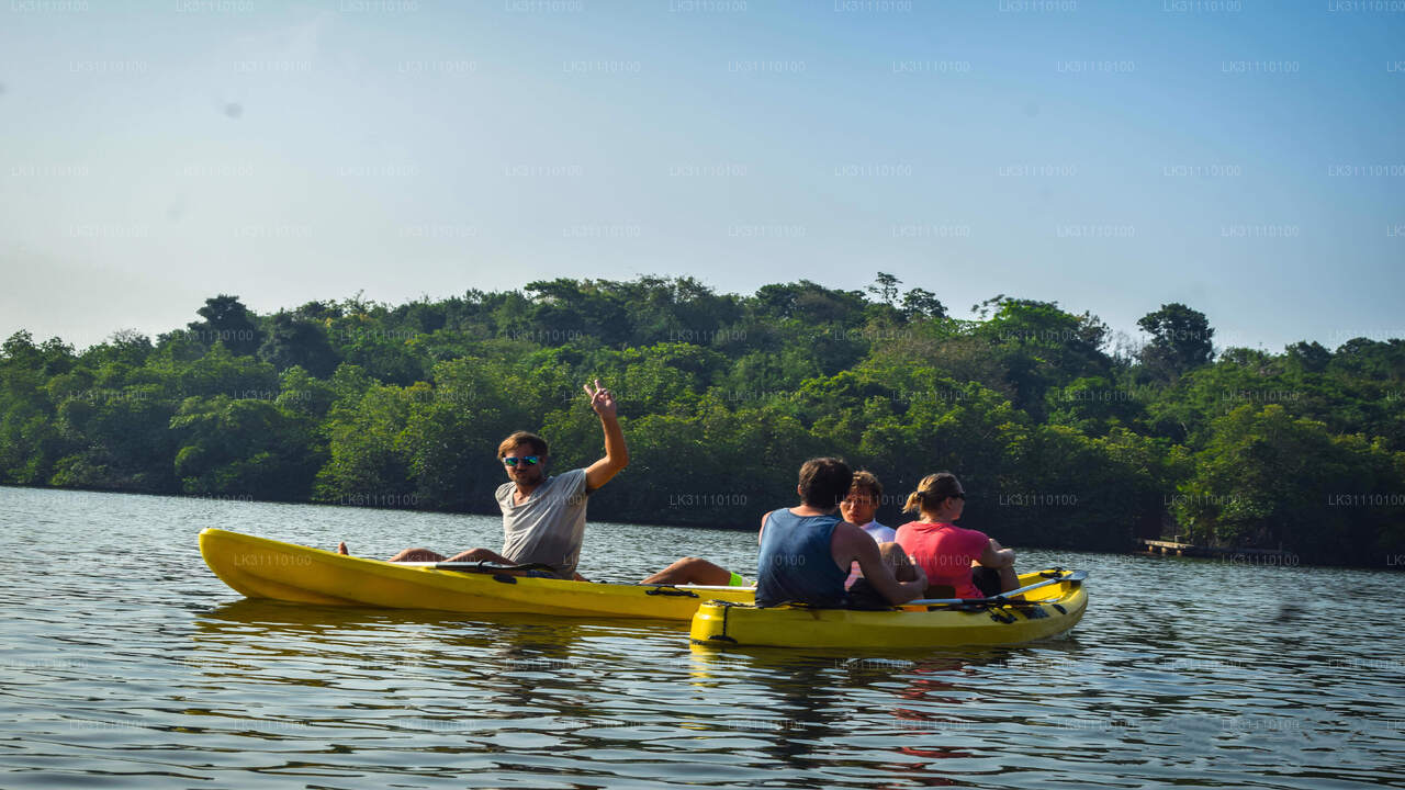Kajakpaddling vid Rathgama Lake från Hikkaduwa