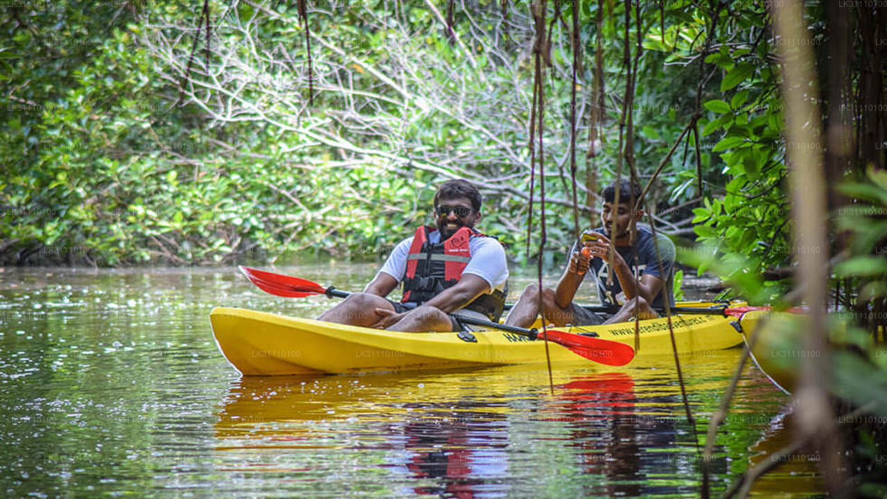 Kajakpaddling vid Rathgama Lake från Hikkaduwa