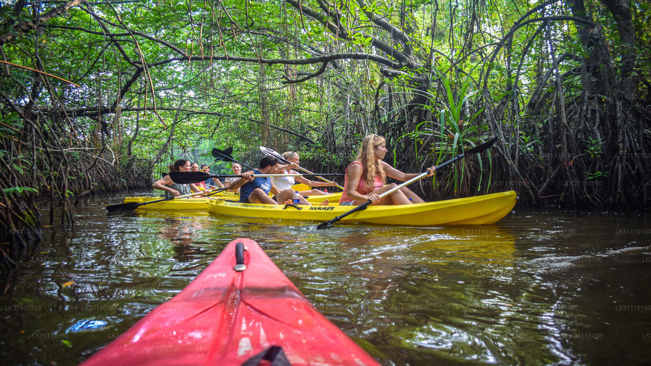Kajakpaddling vid Rathgama Lake från Hikkaduwa