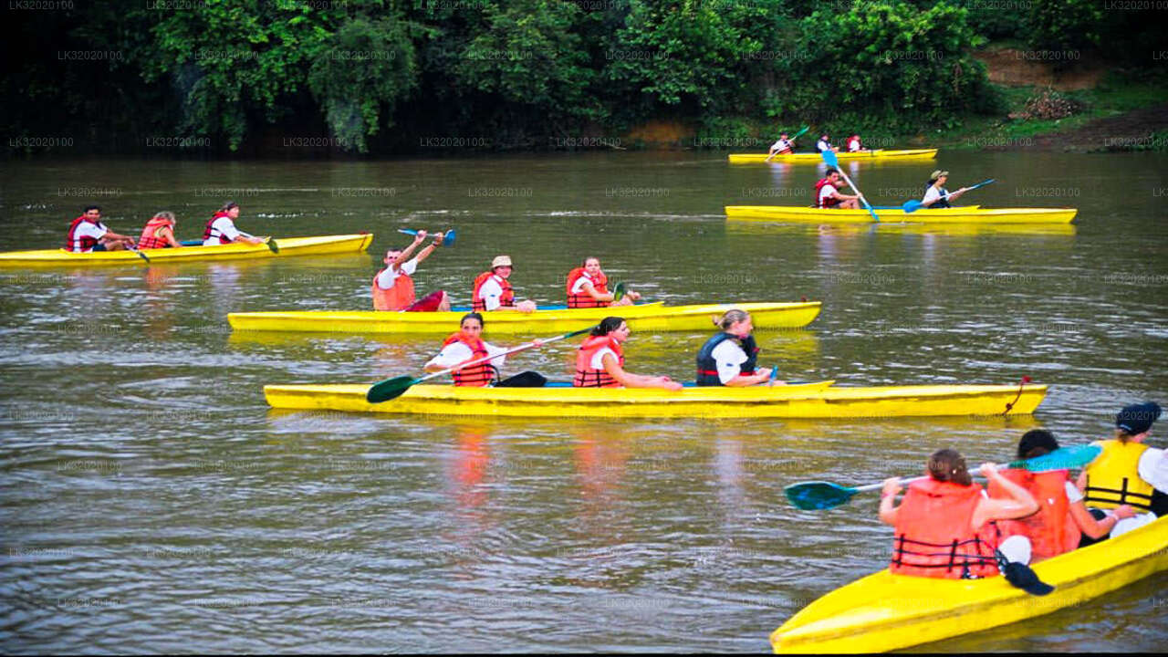 Paddla kanot i Mahaweli River från Kandy