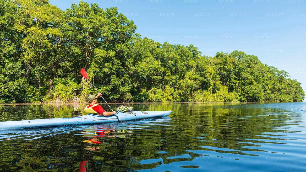 Paddla kanot från Kitulgala