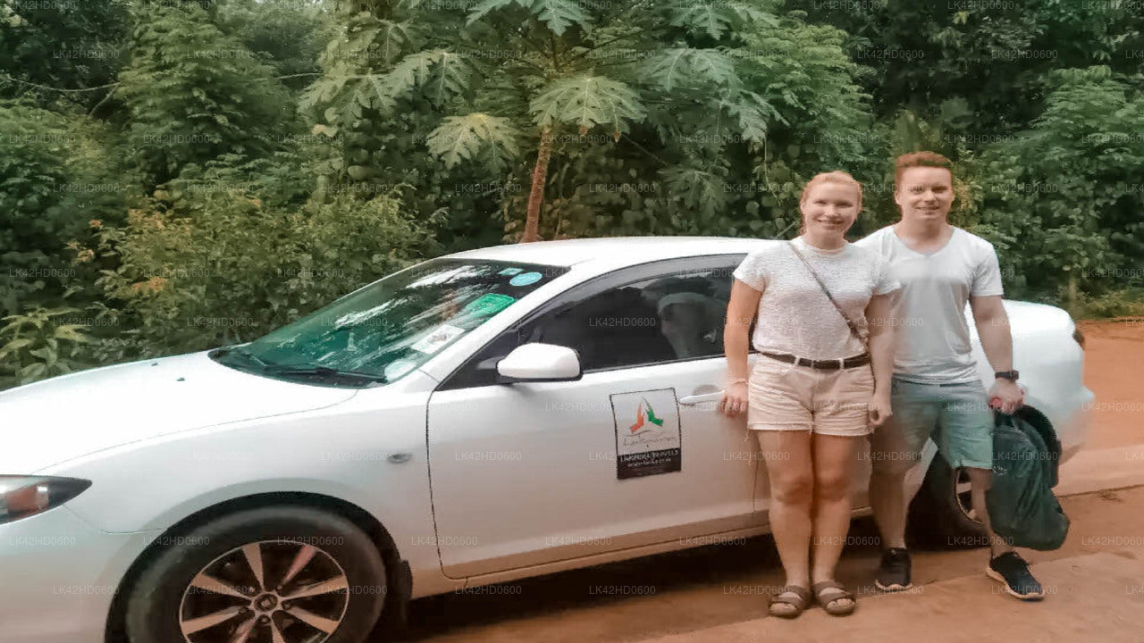 Elephant Pass City till Anuradhapura City Privat transfer