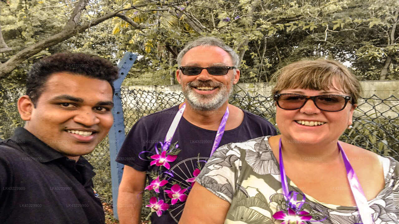 Transfer between Colombo Airport (CMB) and Heaven Seven Hikkaduwa, Hikkaduwa