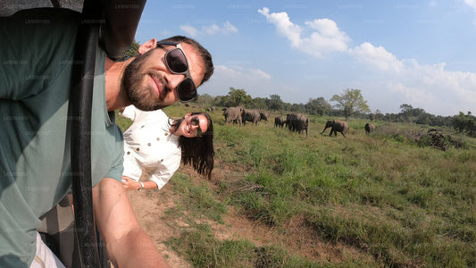 Wasgamuwa nationalpark Privat Safari