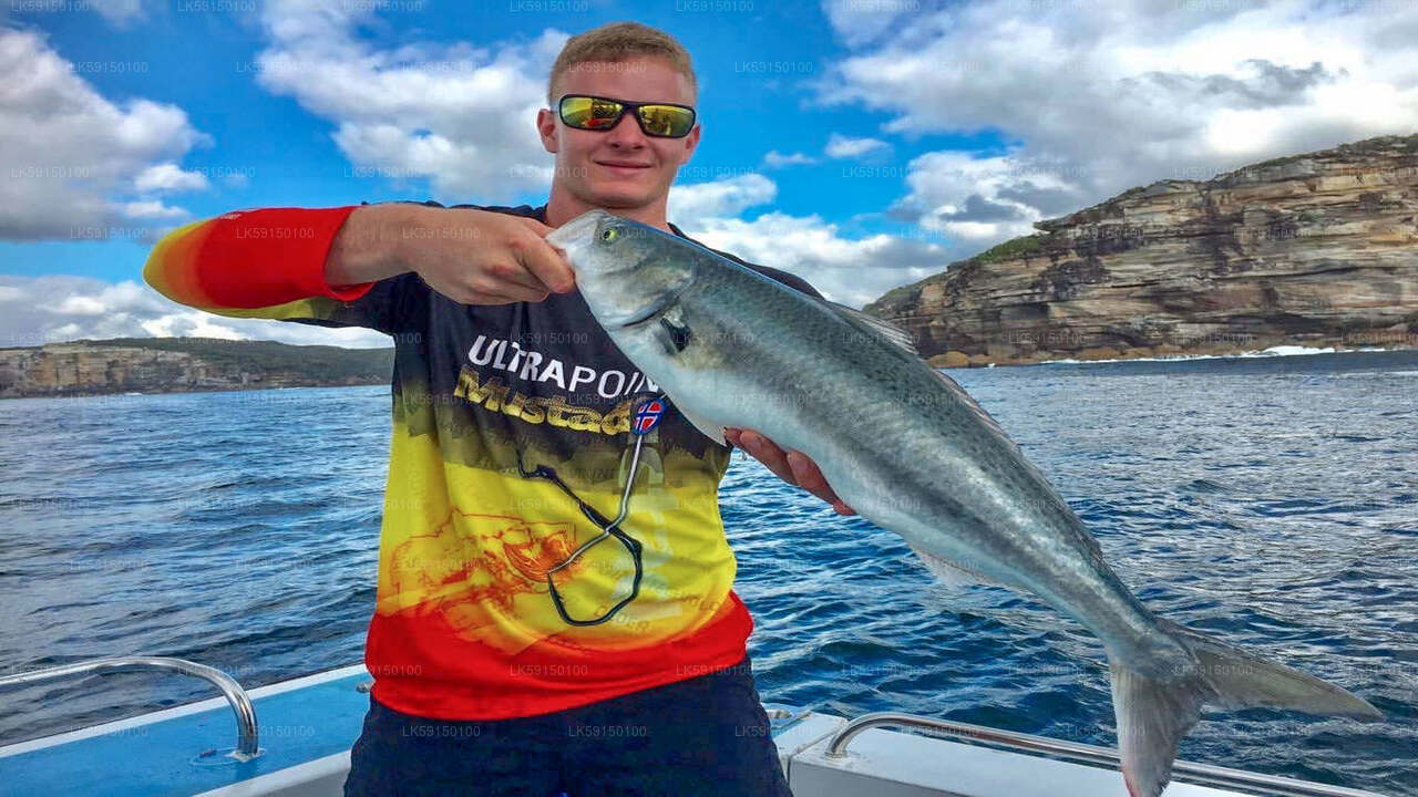 Djuphavsfiske båttur från Kalpitiya