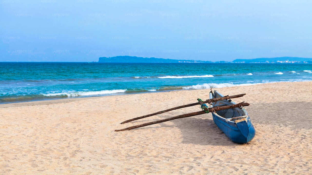 Djuphavsfiske båttur från Trincomalee