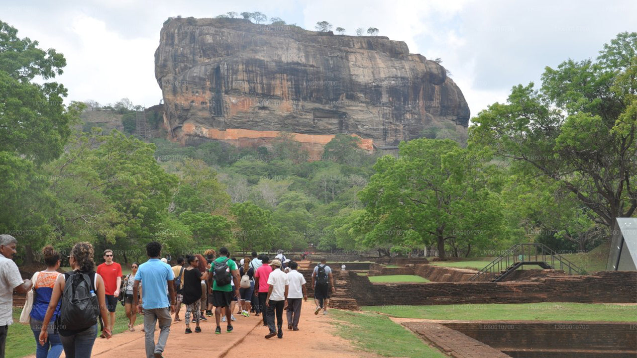 Sigiriya Rock och Village Tour från Colombo