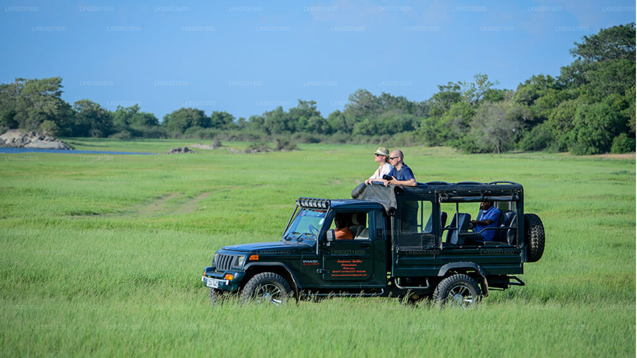 Udawalawe National Park Safari från kosgoda