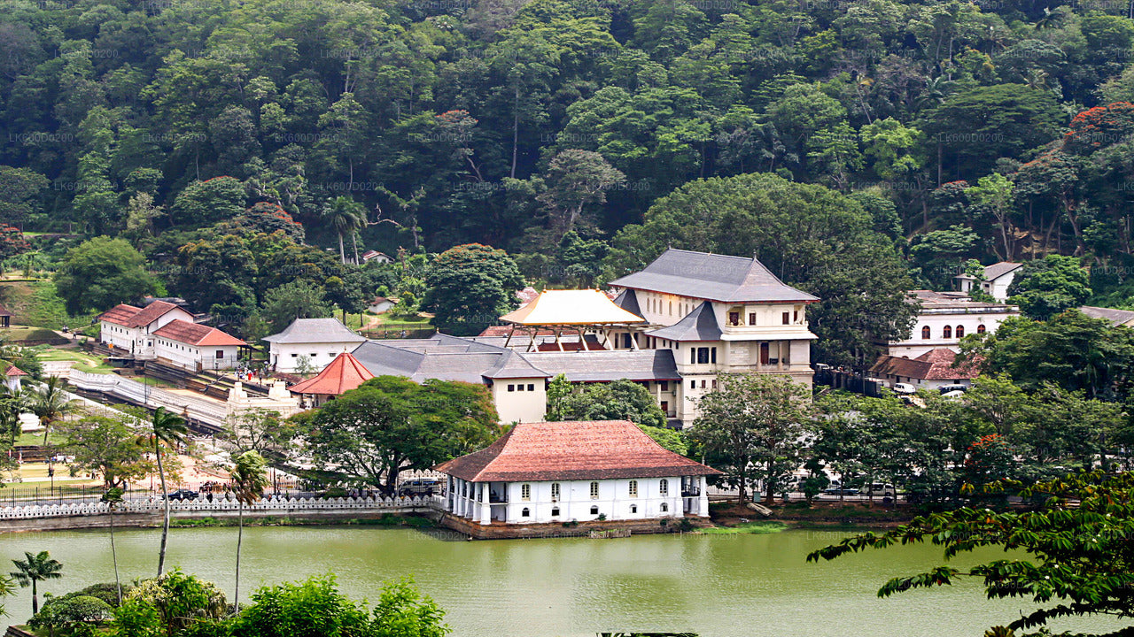 Kandy City Tour från Bentota
