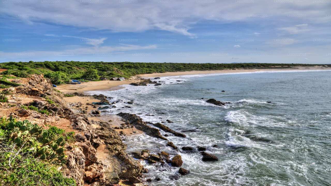 Bundala National Park Safari från Bentota