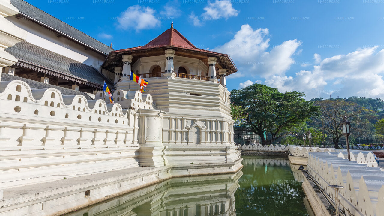 Kandy City Tour från Beruwala