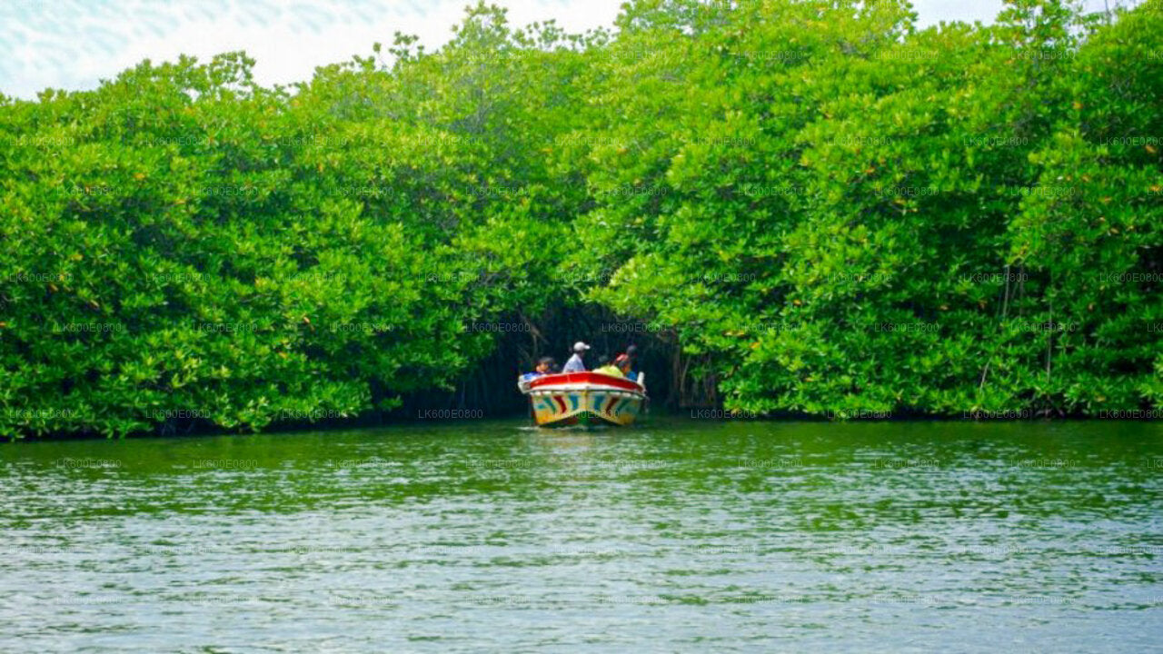 Bentota City Tour och Galle från Beruwala