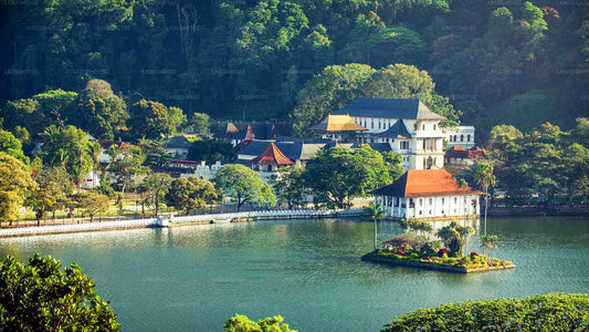 A scenic view of Kandy city with the Temple of the Tooth and surrounding buildings visible on an island in a river, with green hills in the background.
