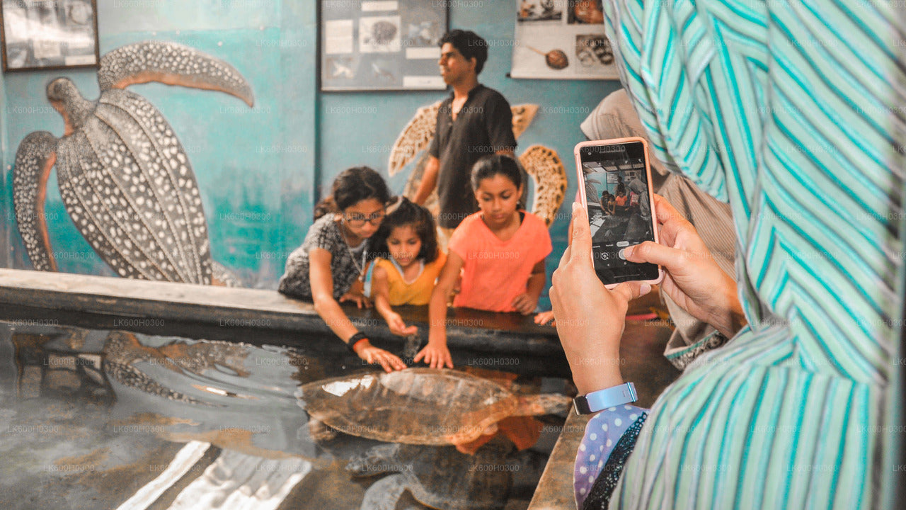 Handungoda, Galle och Kosgoda från Colombo