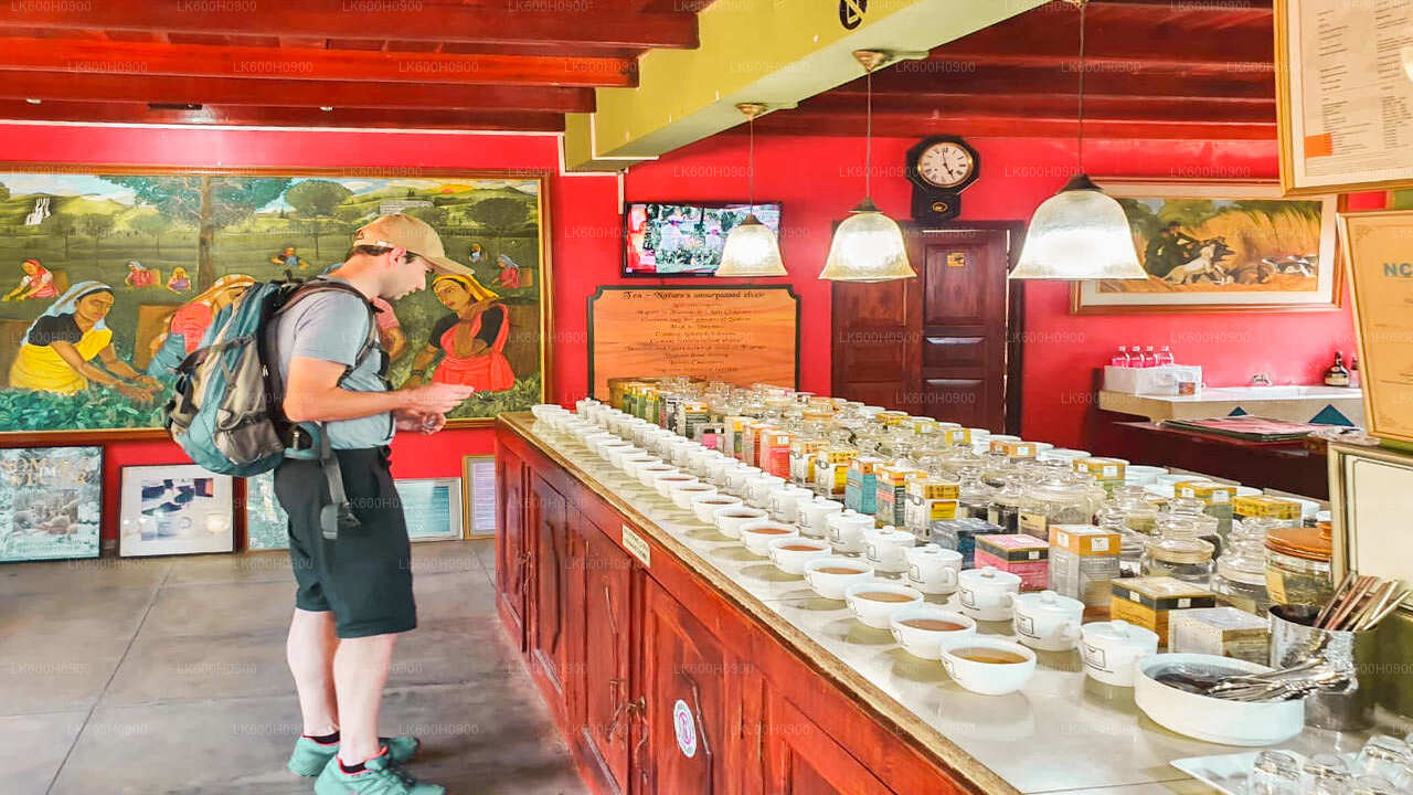 Höjdpunkter på södra kusten från Colombo