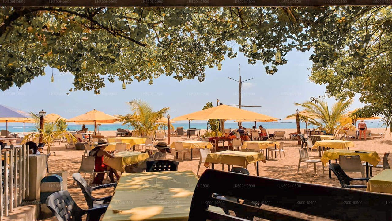 Höjdpunkter på södra kusten från Colombo