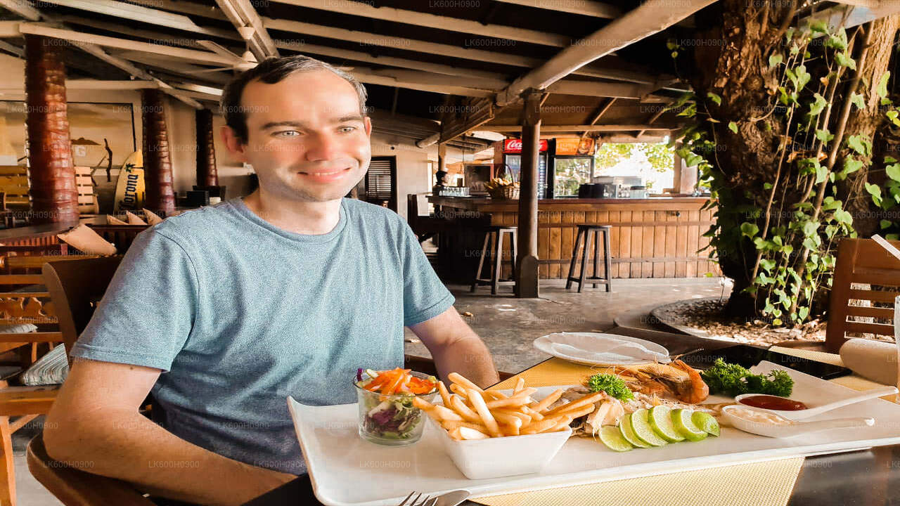 Höjdpunkter på södra kusten från Colombo