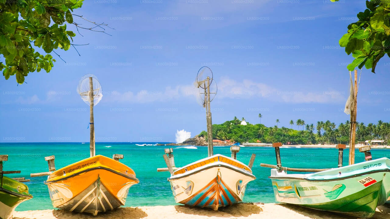 Negombo stadstur från Colombo