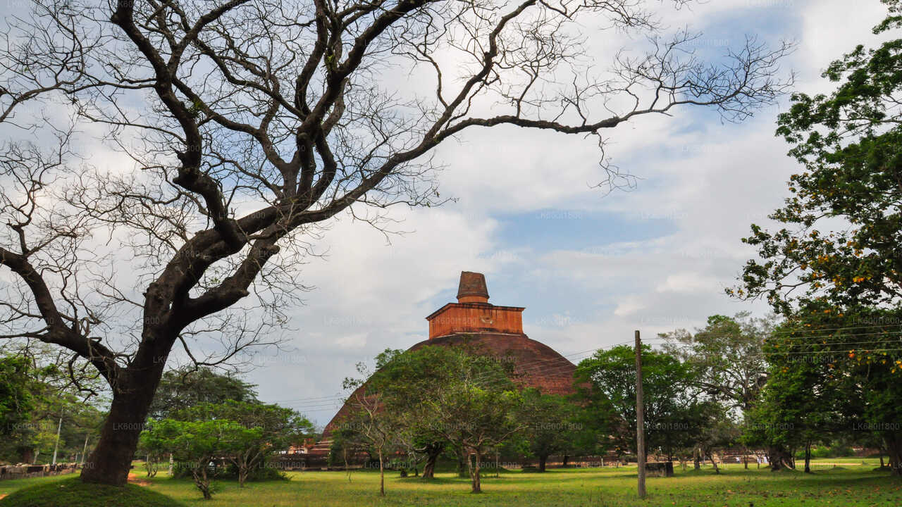 Anuradhapura Buddhist Icons Tour från Dambulla