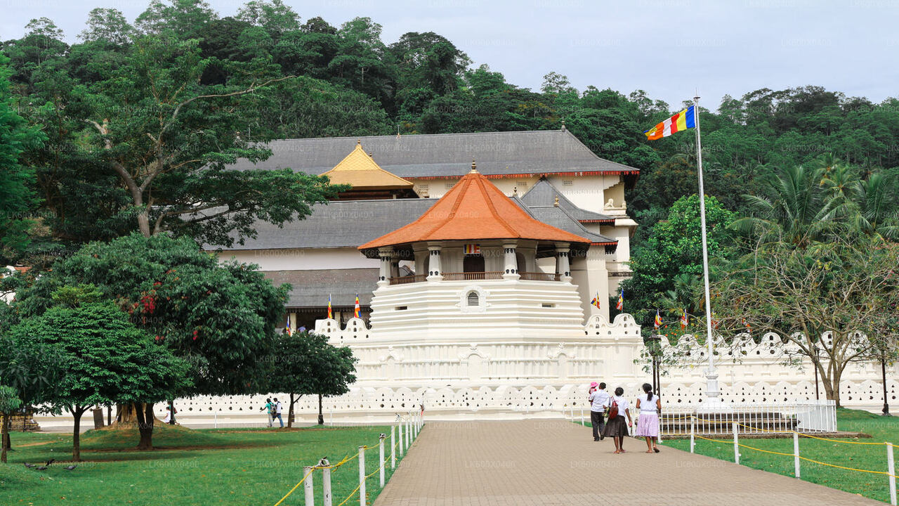 Kandy City Tour från Hikkaduwa