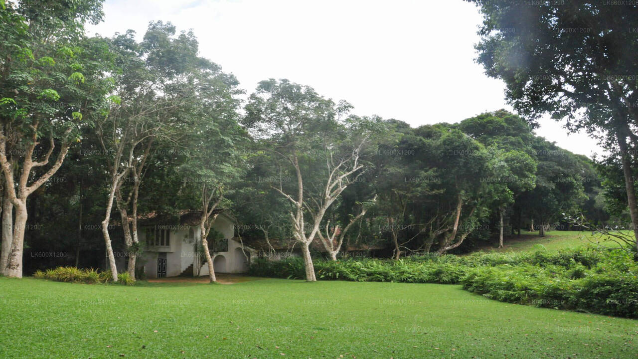 Bentota City Tour från Hikkaduwa