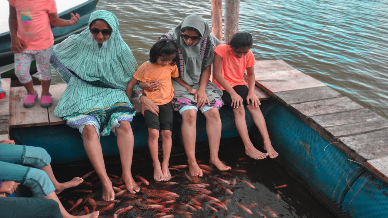 Balapitiya, Handunugoda och Galle från Bentota