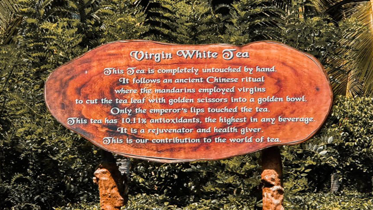 Balapitiya, Handunugoda och Galle från Bentota