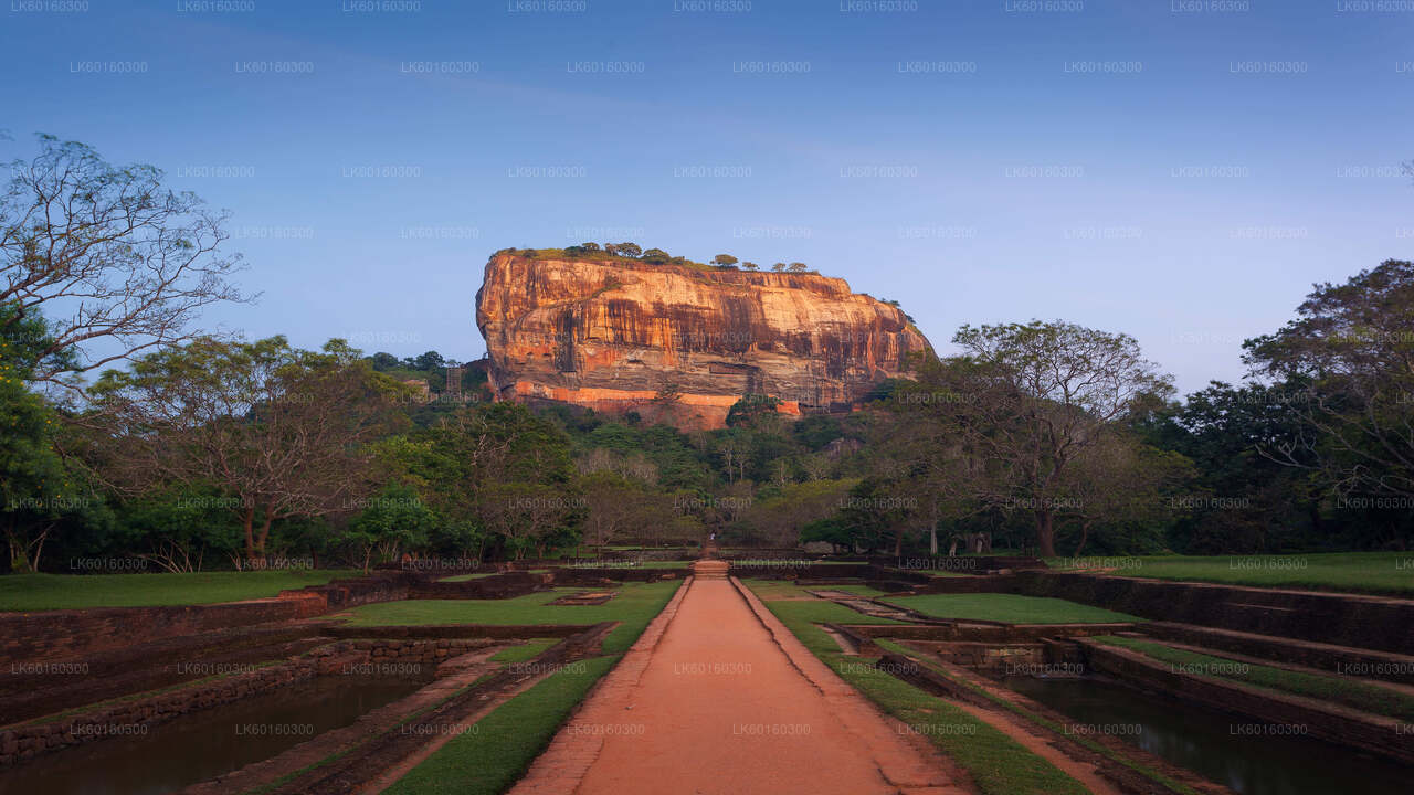 Sigiriya Rock och Dambulla grotta från Kalutara