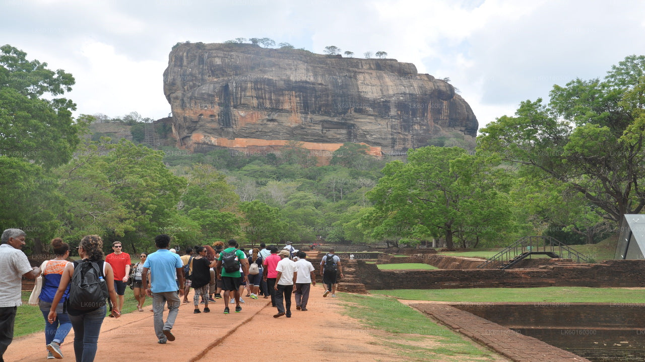 Sigiriya Rock och Dambulla grotta från Kalutara