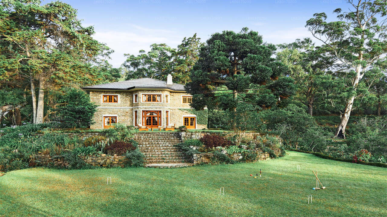 Nuwara Eliya Highlands från Kandy