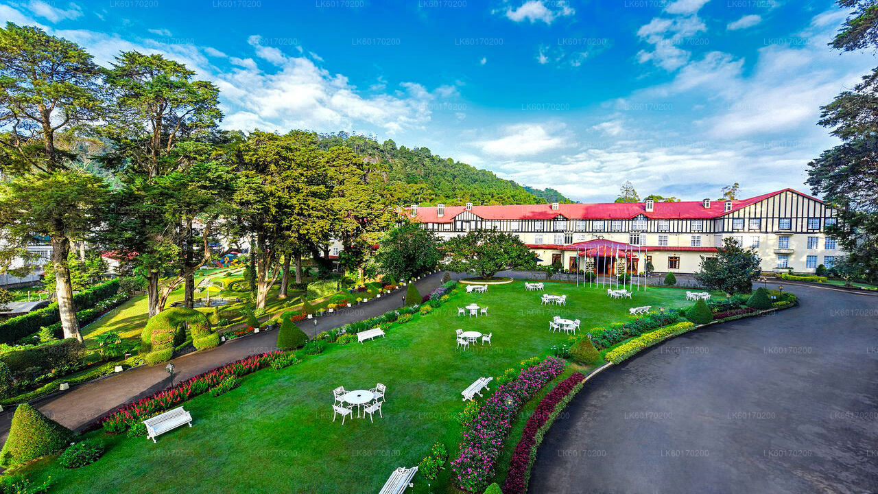 Nuwara Eliya Highlands från Kandy