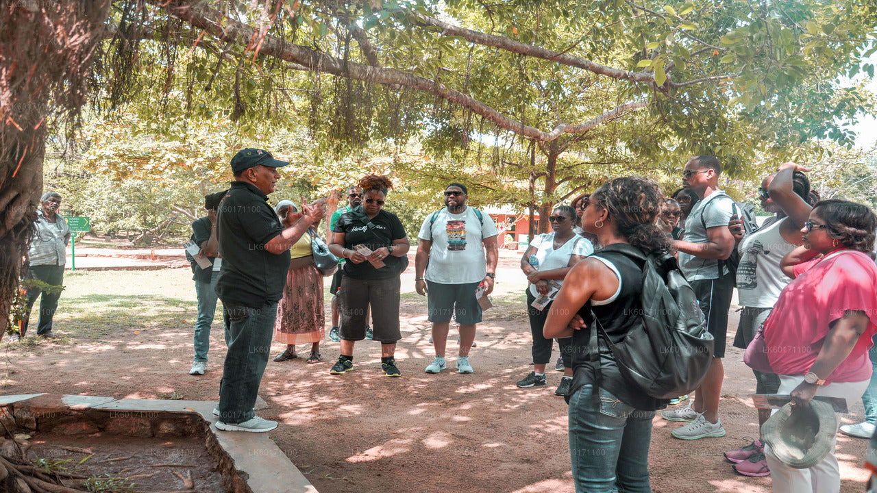 Sigiriya och Dambulla från Kandy