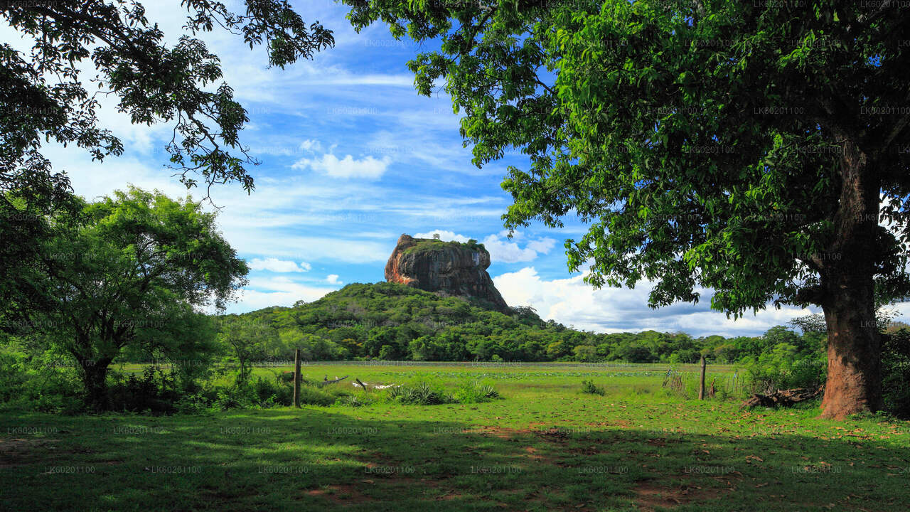 Sigiriya Rock och Dambulla Cave från Sigiriya