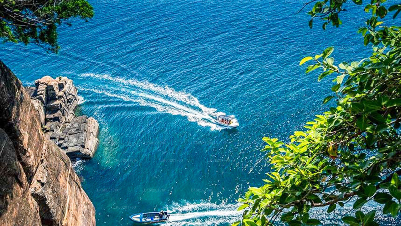 Trincomalee stadstur från Sigiriya