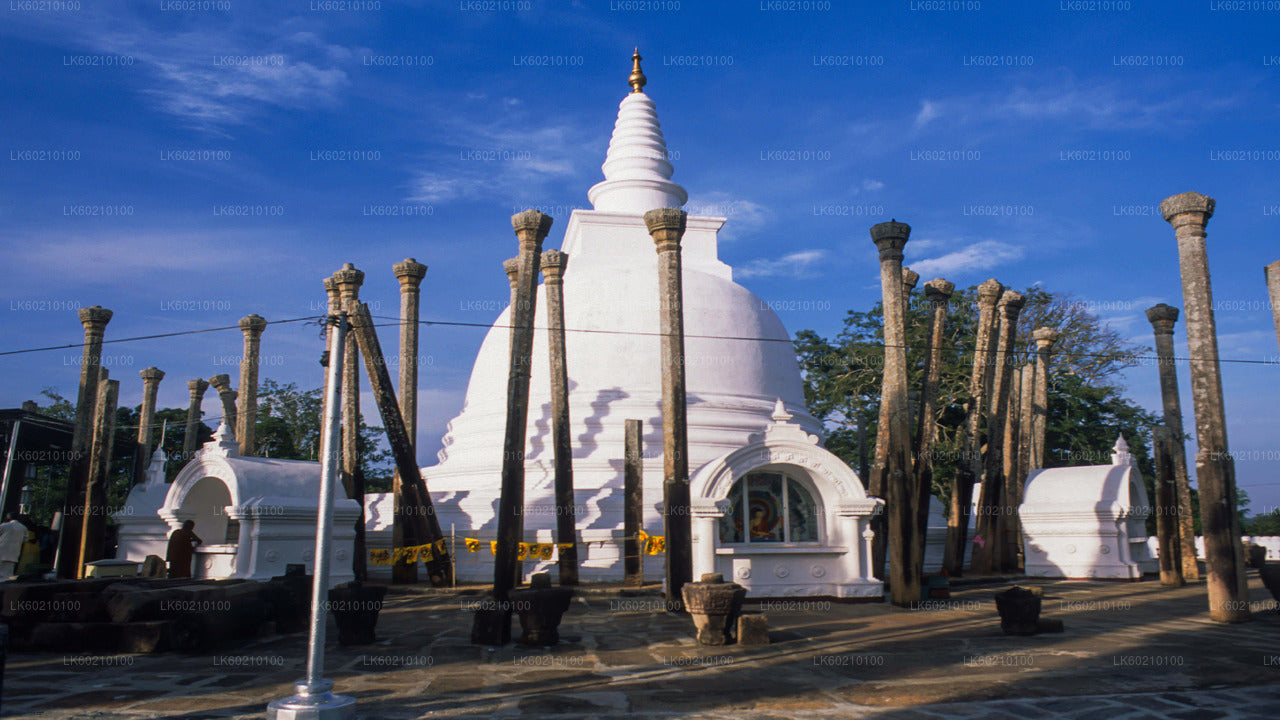 Den heliga staden Anuradhapura från Sigiriya