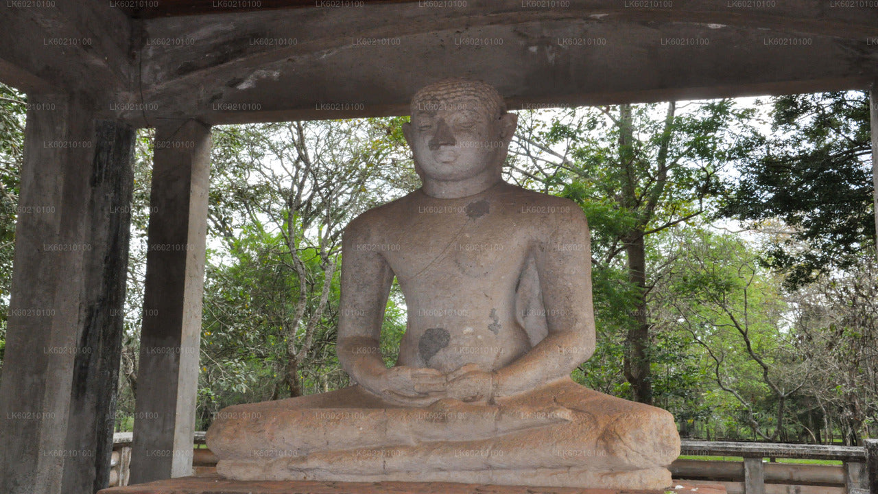 Den heliga staden Anuradhapura från Sigiriya
