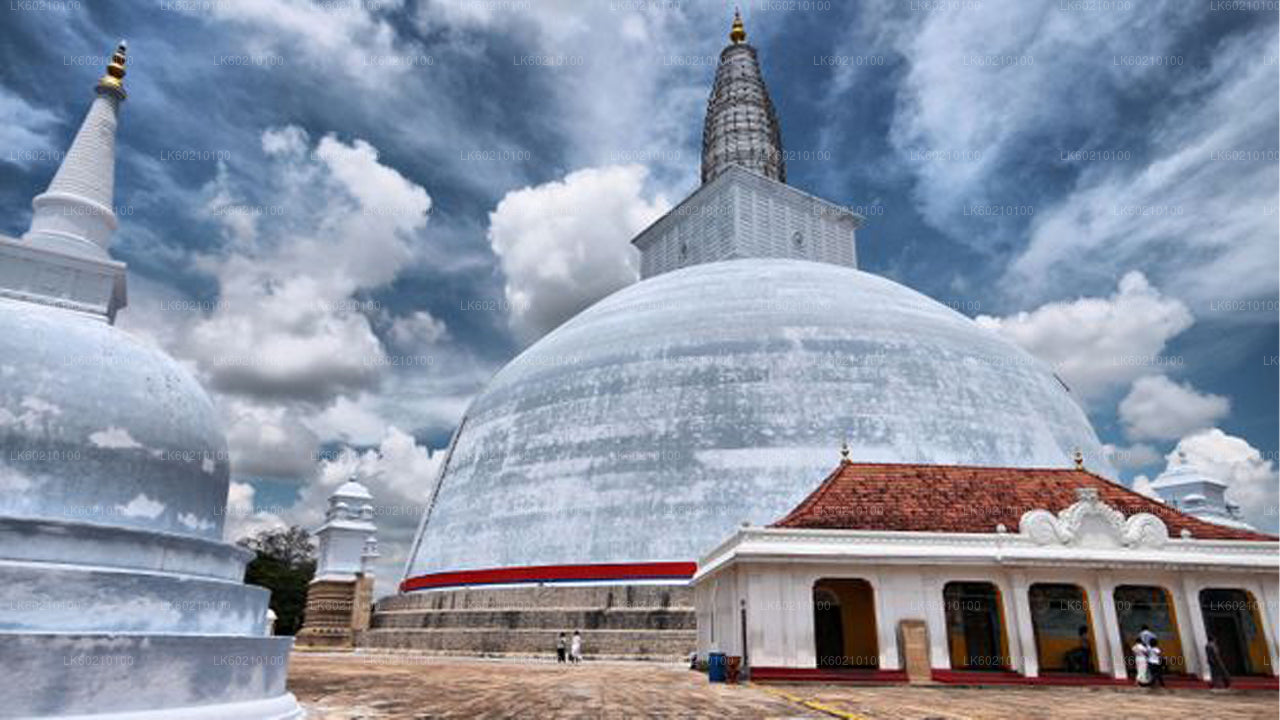 Den heliga staden Anuradhapura från Sigiriya