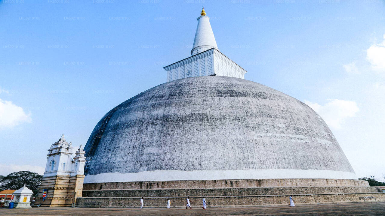 Den heliga staden Anuradhapura från Sigiriya