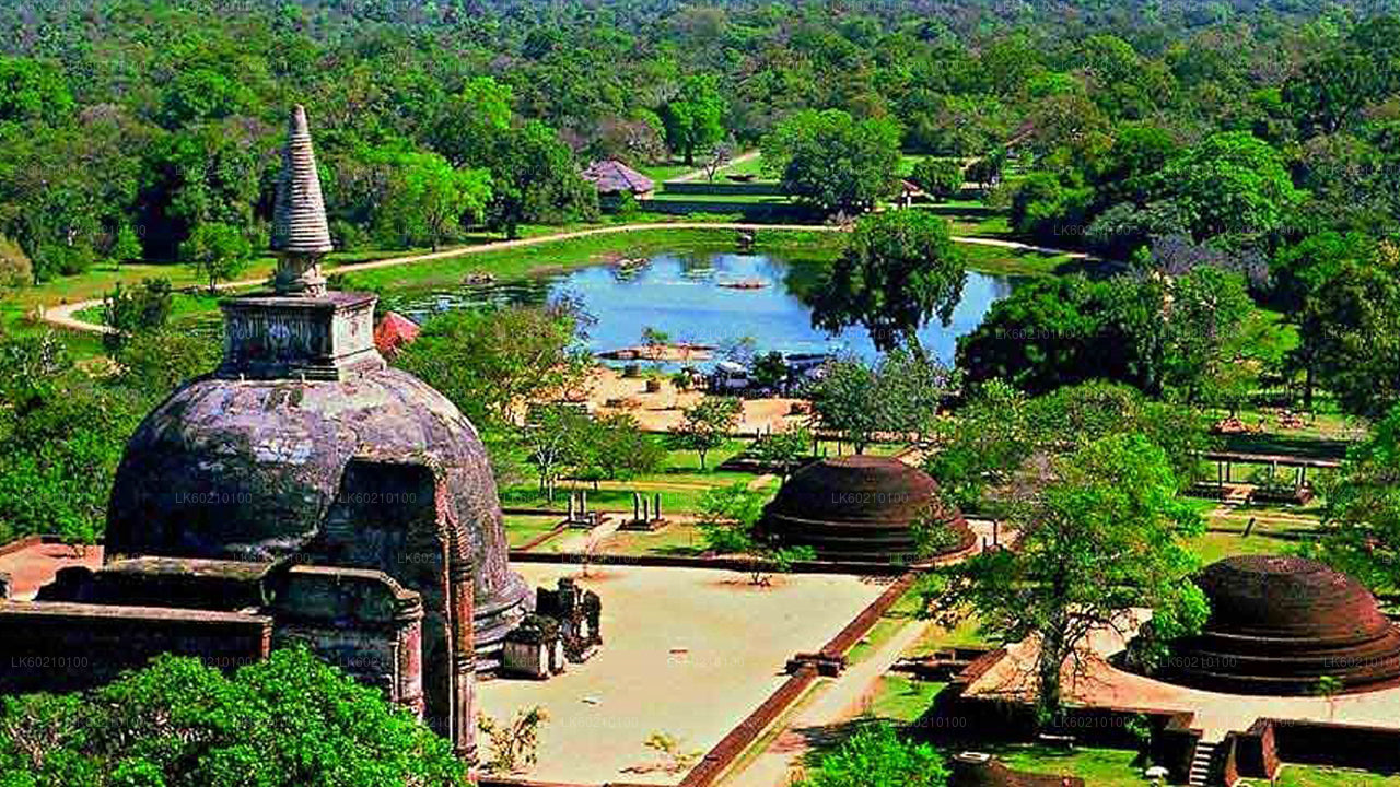 Den heliga staden Anuradhapura från Sigiriya