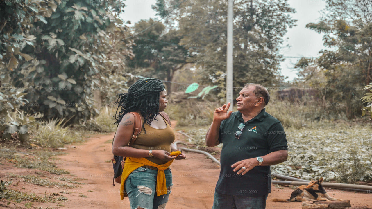 Sigiriya Rock och Wild Elephant Safari från Dambulla