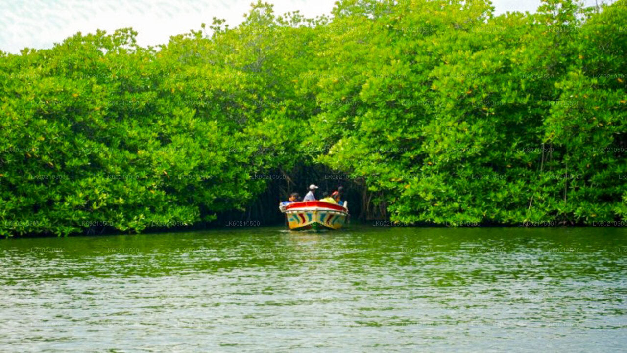 Bentota City Tour från Tangalle