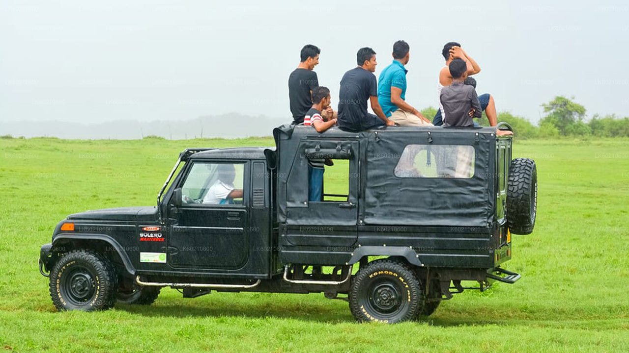 Bundala National Park Safari från Tangalle